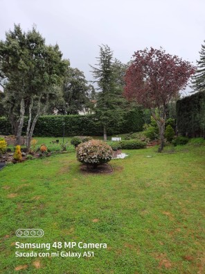 Jardín